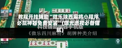 教程开挂辅助“微乐陕西麻将小程序必赢神器免费安装”(曝光透视必备猫腻)-第1张图片