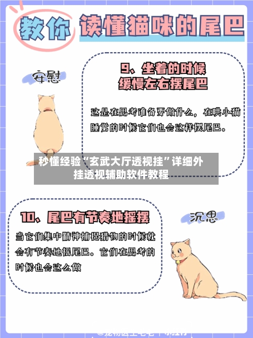 秒懂经验“玄武大厅透视挂”详细外挂透视辅助软件教程-第1张图片
