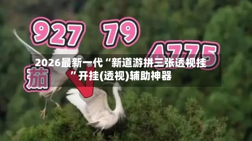 2026最新一代“新道游拼三张透视挂”开挂(透视)辅助神器-第2张图片