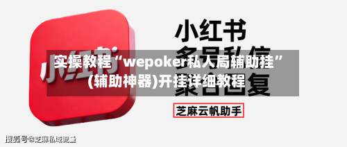 实操教程“wepoker私人局辅助挂”(辅助神器)开挂详细教程-第2张图片