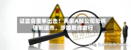 证监会重拳出击！两家A股公司恐将强制退市，涉嫌欺诈发行-第3张图片