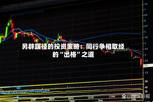 另辟蹊径的投资策略：同行争相取经的“出格	”之道-第1张图片