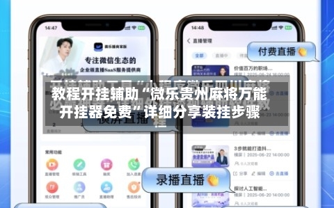 教程开挂辅助“微乐贵州麻将万能开挂器免费	”详细分享装挂步骤-第2张图片