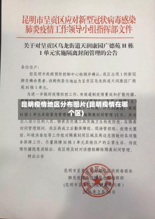 昆明疫情地区分布图片(昆明疫情在哪个区)-第2张图片