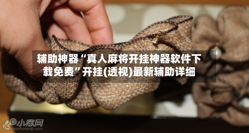 辅助神器“真人麻将开挂神器软件下载免费	”开挂(透视)最新辅助详细-第1张图片