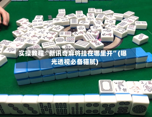 实操教程“新讯奇麻将挂在哪里开”(曝光透视必备猫腻)-第2张图片