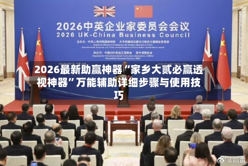 2026最新助赢神器“家乡大贰必赢透视神器”万能辅助详细步骤与使用技巧-第1张图片