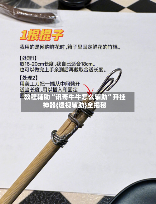 教程辅助“讯奇牛牛怎么辅助	”开挂神器{透视辅助}全揭秘-第1张图片