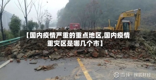【国内疫情严重的重点地区,国内疫情重灾区是哪几个市】-第2张图片