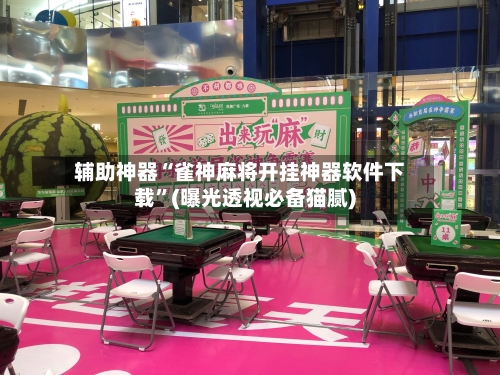 辅助神器“雀神麻将开挂神器软件下载”(曝光透视必备猫腻)-第2张图片