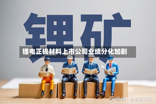 锂电正极材料上市公司业绩分化加剧-第1张图片