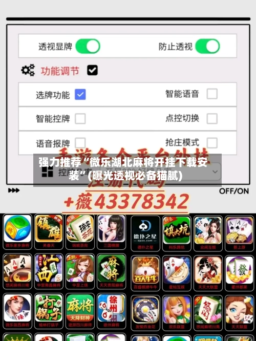 强力推荐“微乐湖北麻将开挂下载安装”(曝光透视必备猫腻)-第1张图片