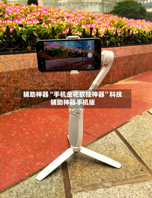 辅助神器“手机金花软挂神器	”科技辅助神器手机版-第2张图片