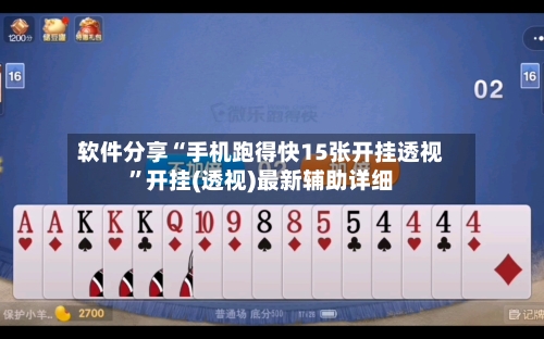软件分享“手机跑得快15张开挂透视”开挂(透视)最新辅助详细-第2张图片
