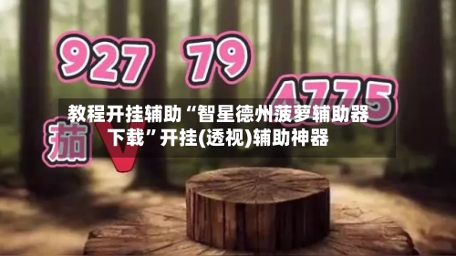 教程开挂辅助“智星德州菠萝辅助器下载”开挂(透视)辅助神器-第2张图片
