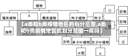【a类和b类疫情地区的划分范围,a类和b类疫情地区的划分范围一样吗】-第2张图片