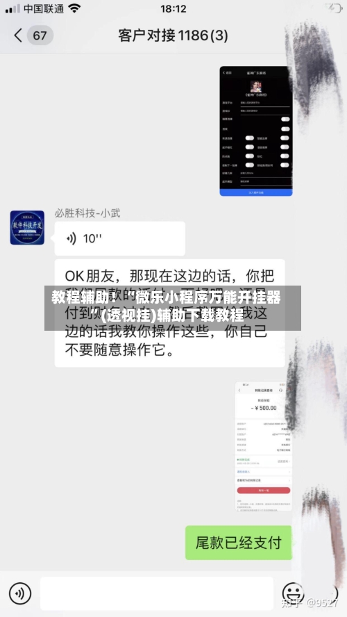 教程辅助！“微乐小程序万能开挂器”(透视挂)辅助下载教程-第1张图片