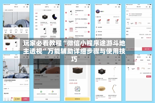 玩家必看教程“微信小程序途游斗地主透视”万能辅助详细步骤与使用技巧-第2张图片