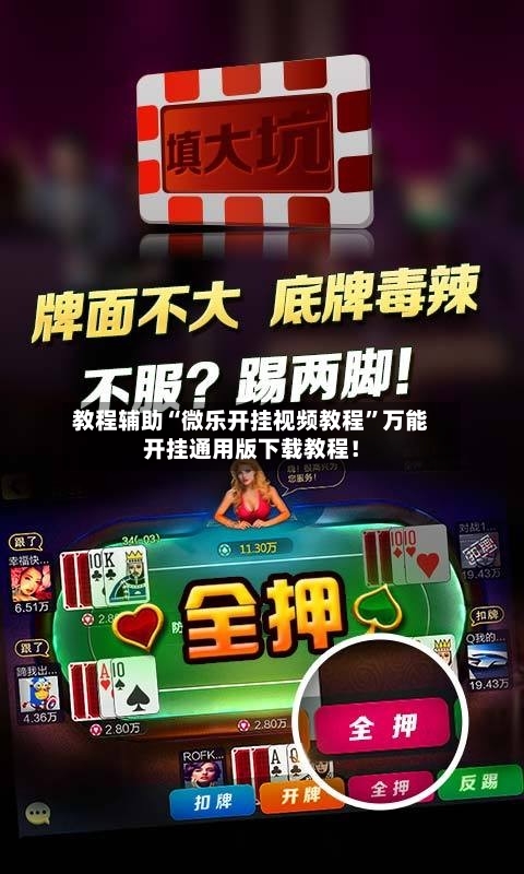 教程辅助“微乐开挂视频教程”万能开挂通用版下载教程！-第1张图片