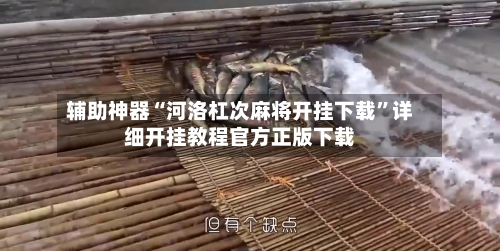 辅助神器“河洛杠次麻将开挂下载”详细开挂教程官方正版下载-第1张图片