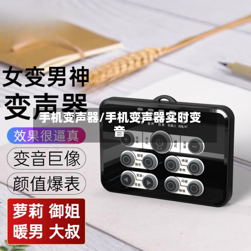 手机变声器/手机变声器实时变音-第1张图片