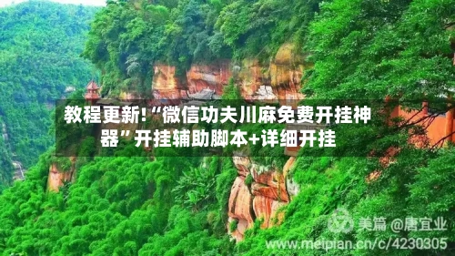 教程更新!“微信功夫川麻免费开挂神器”开挂辅助脚本+详细开挂-第1张图片