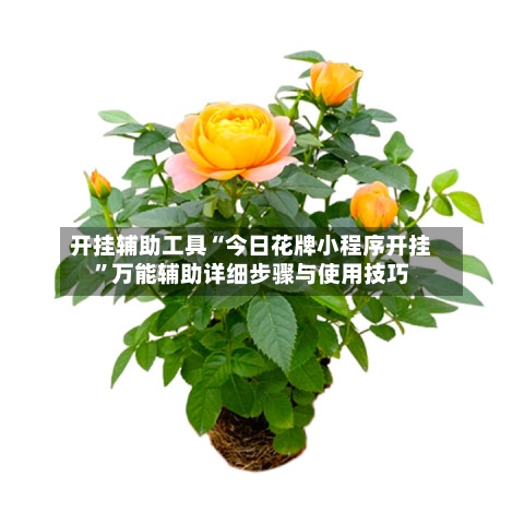 开挂辅助工具“今日花牌小程序开挂”万能辅助详细步骤与使用技巧-第2张图片