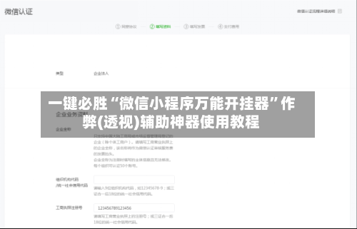 一键必胜“微信小程序万能开挂器”作弊(透视)辅助神器使用教程-第1张图片