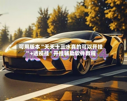 可用版本“天天十三水真的可以开挂	”+透视挂”开挂辅助软件教程-第3张图片