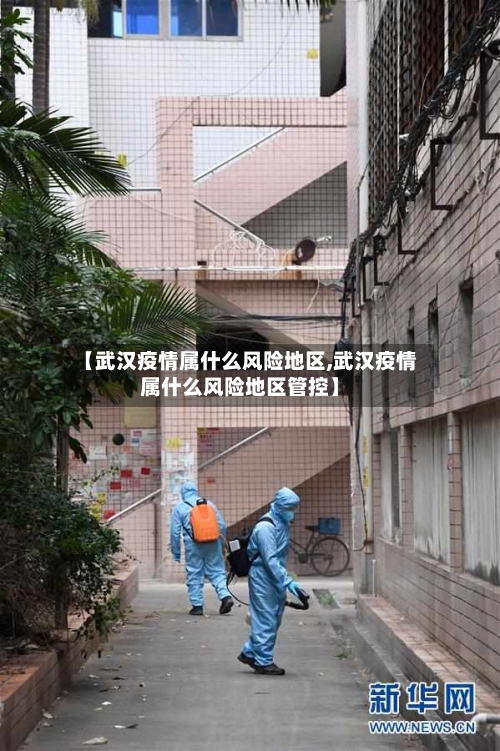 【武汉疫情属什么风险地区,武汉疫情属什么风险地区管控】-第2张图片