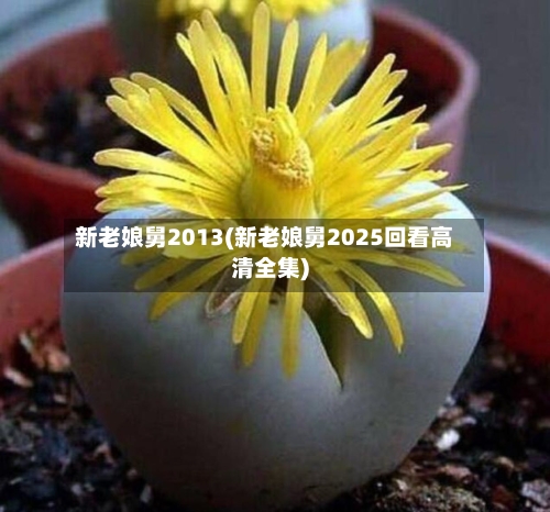 新老娘舅2013(新老娘舅2025回看高清全集)-第2张图片