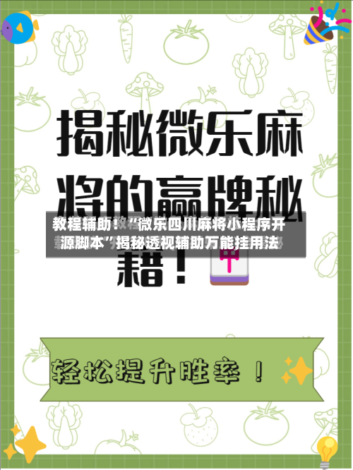 教程辅助！“微乐四川麻将小程序开源脚本”揭秘透视辅助万能挂用法-第3张图片