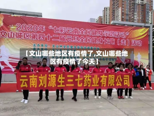 【文山哪些地区有疫情了,文山哪些地区有疫情了今天】-第3张图片