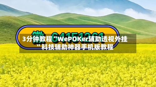 3分钟教程“WePOKer辅助透视外挂	”科技辅助神器手机版教程-第1张图片