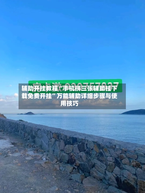 辅助开挂教程“手机拼三张辅助挂下载免费开挂”万能辅助详细步骤与使用技巧-第2张图片