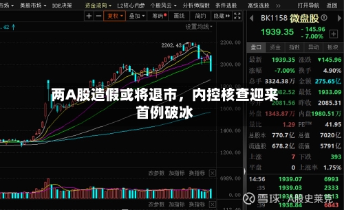 两A股造假或将退市，内控核查迎来首例破冰-第2张图片