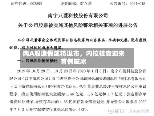 两A股造假或将退市，内控核查迎来首例破冰-第3张图片