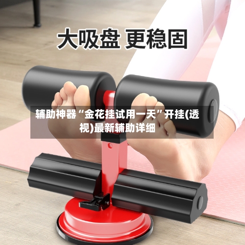 辅助神器“金花挂试用一天”开挂(透视)最新辅助详细-第1张图片