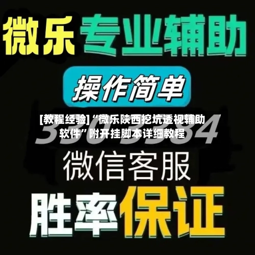[教程经验]“微乐陕西挖坑透视辅助软件”附开挂脚本详细教程-第1张图片