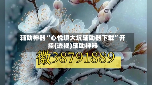 辅助神器“心悦填大坑辅助器下载”开挂(透视)辅助神器-第1张图片