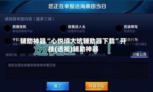 辅助神器“心悦填大坑辅助器下载	”开挂(透视)辅助神器-第2张图片