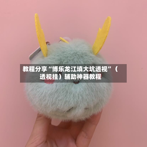 教程分享“博乐龙江填大坑透视	”（透视挂）辅助神器教程-第1张图片