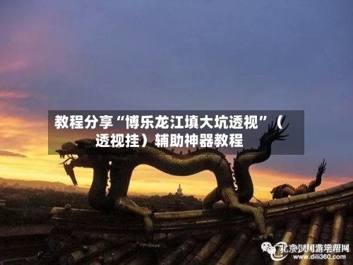 教程分享“博乐龙江填大坑透视”（透视挂）辅助神器教程-第2张图片