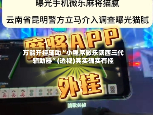 万能开挂辅助“小程序微乐陕西三代辅助器”(透视)其实确实有挂-第2张图片