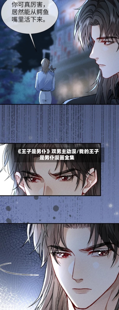 《王子是男仆》双男主动漫/我的王子是男仆漫画全集-第3张图片
