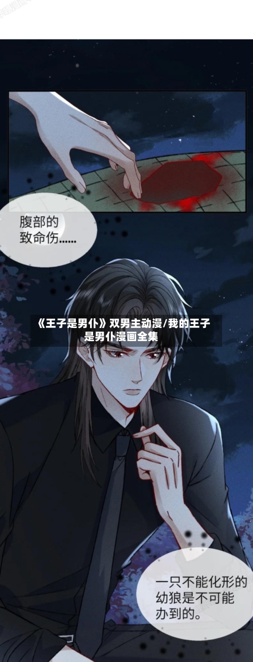 《王子是男仆》双男主动漫/我的王子是男仆漫画全集-第1张图片