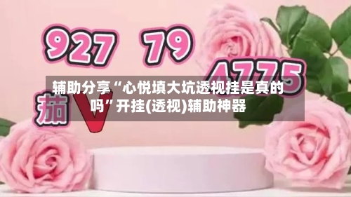 辅助分享“心悦填大坑透视挂是真的吗”开挂(透视)辅助神器-第1张图片
