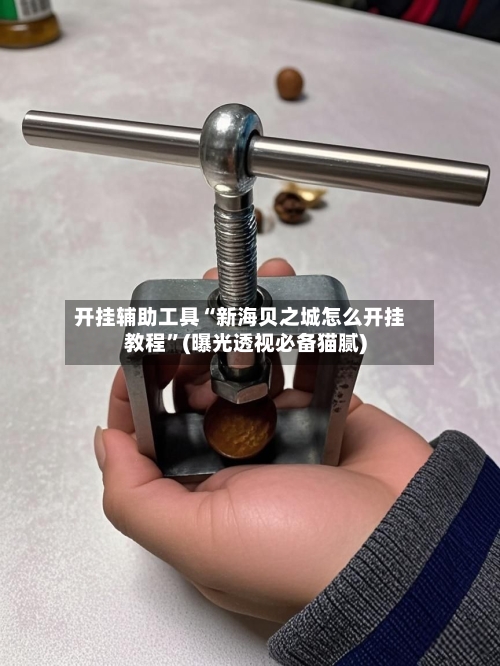 开挂辅助工具“新海贝之城怎么开挂教程”(曝光透视必备猫腻)-第2张图片