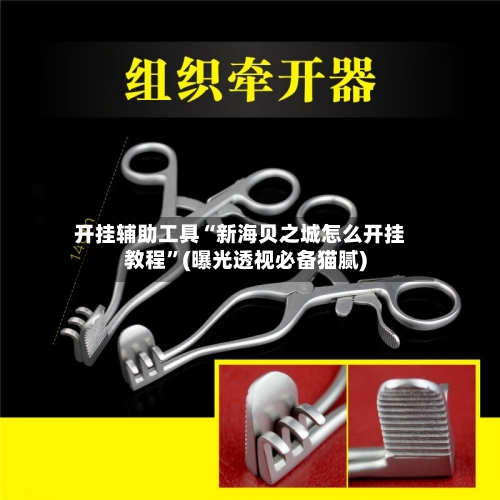 开挂辅助工具“新海贝之城怎么开挂教程	”(曝光透视必备猫腻)-第3张图片