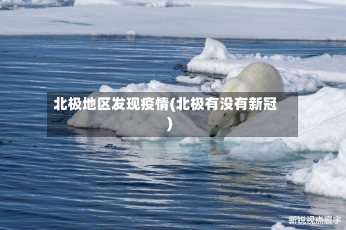 北极地区发现疫情(北极有没有新冠)-第2张图片
